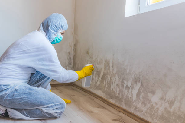 Hvac And Air Duct Mold Remediation inspection of HVAC system in Sterling
