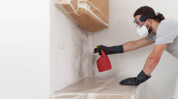 Attic Mold Remediation treatment on roof deck in Sterling