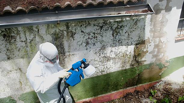 Mold Remediation service in Sterling, Sterling, VA